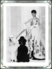 Obraz w lustrzanej ramie AUDREY HEPBURN DOGS 60x80cm