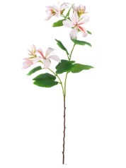 Kwiat sztuczny BAUHINIA PINK
